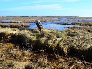 21739773-Ferienhaus-5-St. Peter-Ording-300x225-1