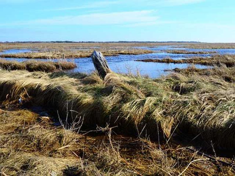 21739773-Ferienhaus-5-St. Peter-Ording-800x600-1