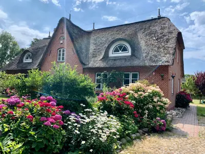 Ferienhaus für 4 Personen (85 m²) in St. Peter-Ording 1/10