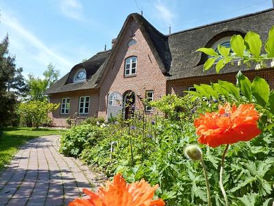 Ferienhaus für 4 Personen (85 m²) in St. Peter-Ording 2/10