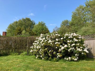 schöner Garten