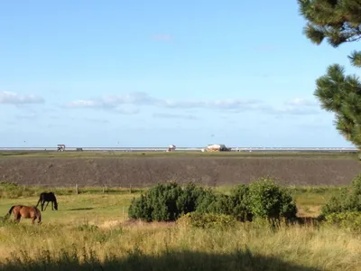 Ferienhaus für 8 Personen (185 m²) in St. Peter-Ording 2/10