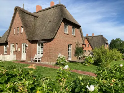 Ferienhaus für 3 Personen (50 m²) in St. Peter-Ording 1/10