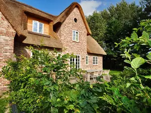 Ferienhaus für 8 Personen (160 m²) in St. Peter-Ording