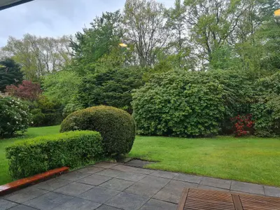 Blick aus dem Wohnzimmer