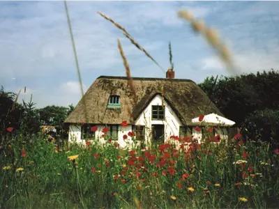 Kate mit Blumenwiese