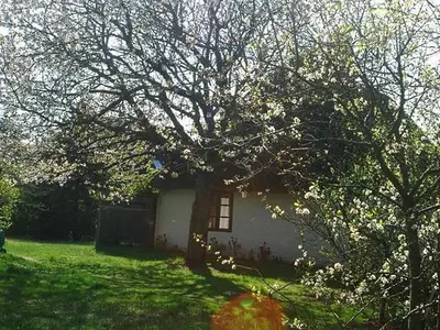 Kate Ostansicht im Mai