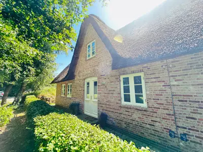Ferienhaus für 5 Personen (85 m²) in St. Peter-Ording 4/10