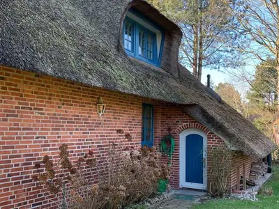 Ferienhaus für 6 Personen (125 m²) in St. Peter-Ording 5/10