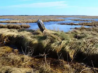 Ferienhaus für 5 Personen (78 m²) in St. Peter-Ording 2/10