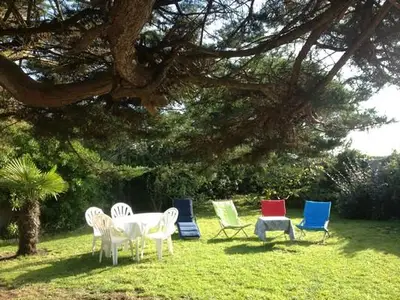 Garten hinter dem Haus