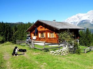 22401817-Ferienhaus-6-St. Veit im Pongau-300x225-1