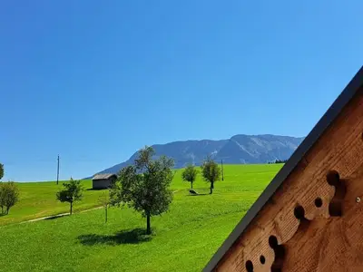 Ferienhaus für 6 Personen in St. Wolfgang im Salzkammergut 8/10