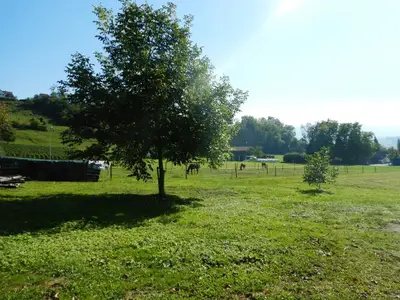Bild 15