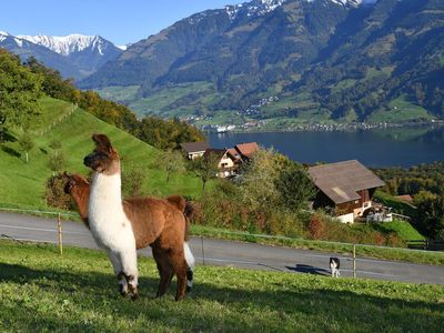 Aussicht auf unseren Hof mit Bergpanorama und Sarnersee