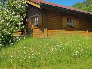 Ferienhaus für 4 Personen (55 m²) in Stamsried