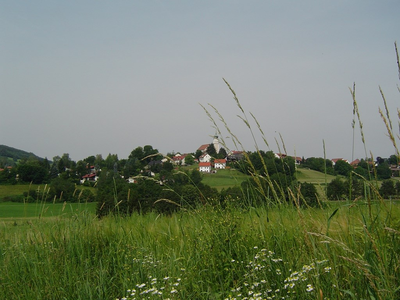 Kirchbachaue mit Bli