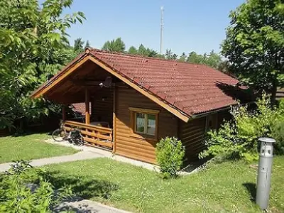 Ferienhaus für 5 Personen (55 m²) in Stamsried 5/10