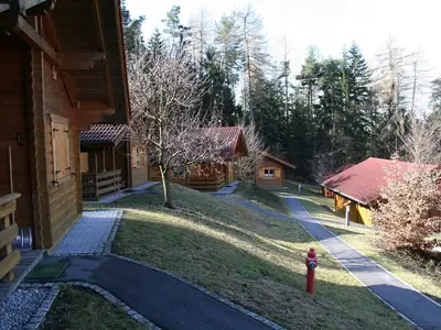 Haeuser am Waldrand des Ferienparks