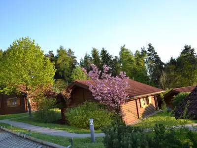 Ferienhaus für 5 Personen (50 m²) in Stamsried 3/10