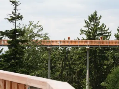 Baumwipfelpfad in St