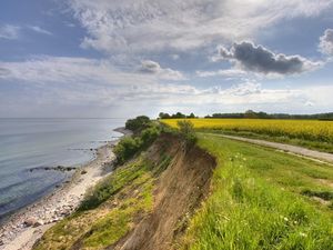 Natur am Bordtner Steilufer