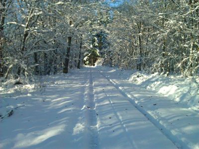 Winterlandschaft