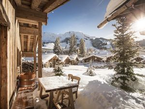 Terrasse Alpin Chalet