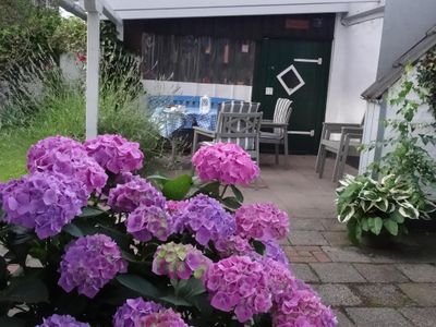 Hortensien und Blick auf die Terrasse