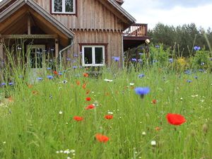 Blumenwiese