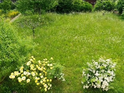 Gartenansicht von oben