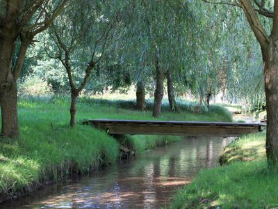 Natürliches Kneippen im Bach