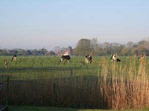 Blick von der Terrasse