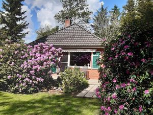 Ferienhaus für 4 Personen (65 m&sup2;)