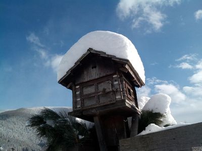 Schneefall November 2017