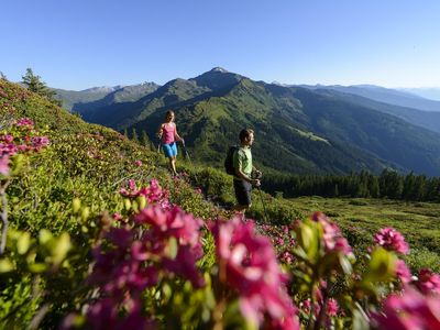 Almrosen Kellerjoch