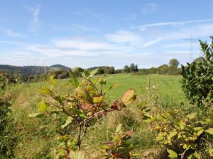 Haus Sonne_Aussicht