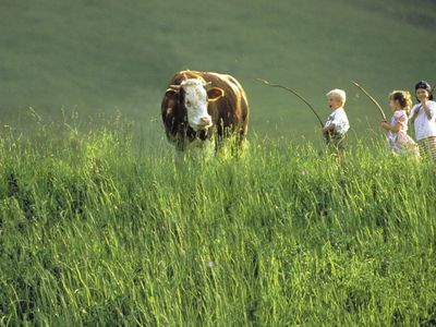 Kinder mit Kuh (c) Archiv TVB Kitzbüheler Alpen