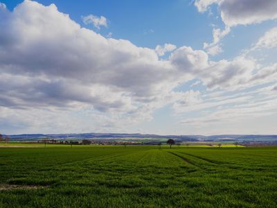 Weitblick