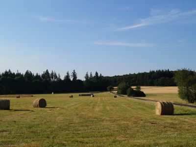 Blick aus dem Garten