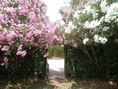 gîte Massane à St Cyprien 66750. entrée jardin.