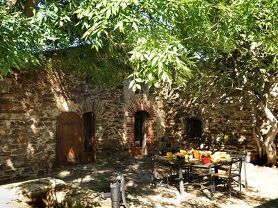 terrasse figuier