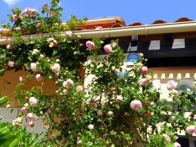 Façade enrubannée de roses parfumées