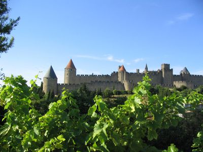 GFS-Cité Carcassonne côté vigne 3