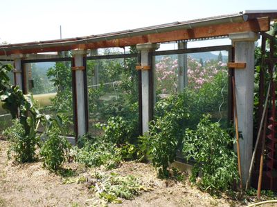 Orangerie dans la propriété