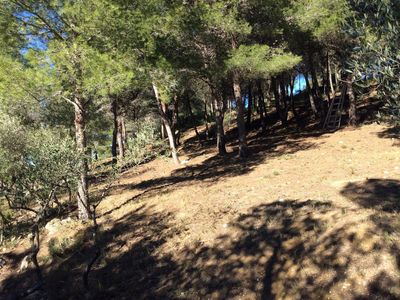 La colline au jardin