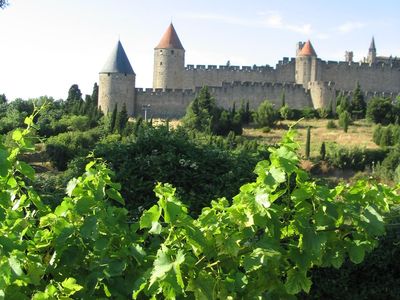 GFS-Cité Carcassonne côté vigne 2