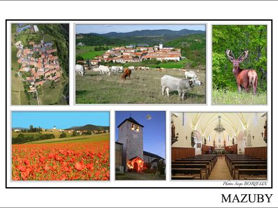 Carte  Postale MAZUBY copie