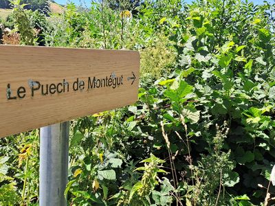 Montaigut - Murat-sur-Vèbre, Tarn - G128 Gîtes de 