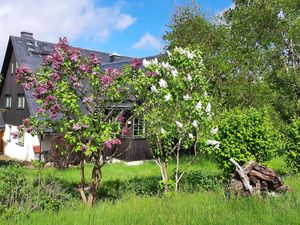 Zweiter Frühling in den Bergen